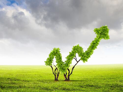 L’equity crowdfunding fa bene all’ambiente