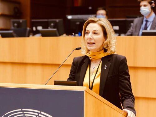 Genitore invece di madre e padre. Simona Baldassarre (Lega) dichiara guerra al glossario dell'Ue
