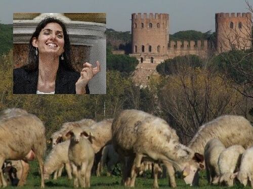La pecora della Raggi