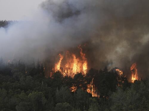 Gerusalemme, la mano di Hamas sugli incendi: "Palestinesi, bruciate tutto"