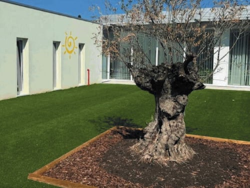 Scuole a L’Aquila: doppia rivincita contro Report