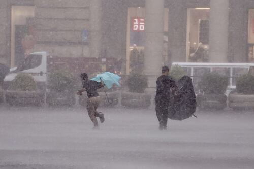 Meteo, nubifragi a Roma: i quartieri colpiti. Alberi caduti e richieste di intervento