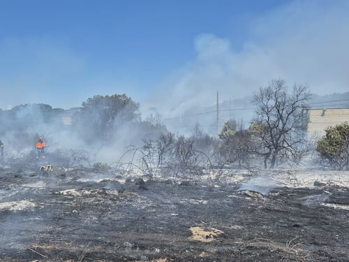 Ostia, rogo sfiora la pineta di Castel Fusano. Possibile atto doloso