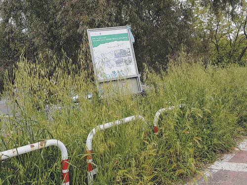 La Raggi si sveglia sulle piste ciclabili