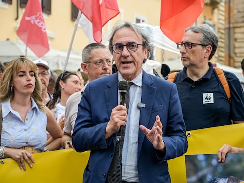 Nato, la Difesa smonta il caso sollevato da Bonelli: "Nessun volo d'attacco in Iran, da Avs accuse senza fondamento"