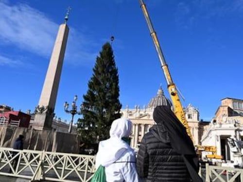 Per Papa Leone un albero di Natale di 27 metri innalzato a piazza San Pietro