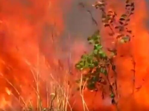 Il fuoco sta divorando l'Amazzonia. Guarda le fiamme