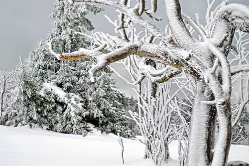 Meteo, riecco il gelo sull’Italia. Giuliacci ci spaventa: “Il periodo peggiore dell’inverno”