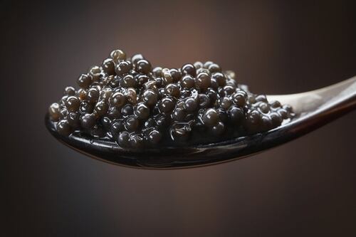 Sua maestà Caviale