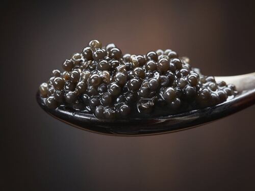 Sua maestà Caviale