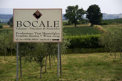 Bocale, un Sagrantino lungo cento anni