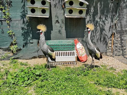 A Roma apre il Giardino di Filly