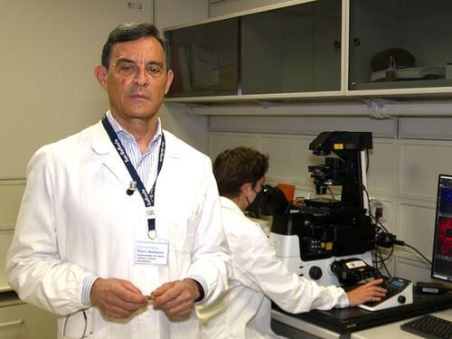 Emicrania pediatrica, svolta storica guidata dall’Ircss San Raffaele di Roma: un anticorpo monoclonale dimezza gli attacchi