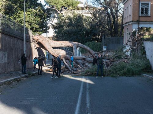 Dal Gianicolo a Villa Taverna. A Roma piovono gli alberi