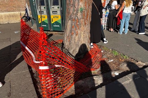 Colosseo, tronco recintato ma non ci sono "lavori in corso" #lafotodeilettori