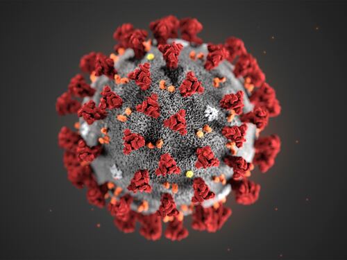 Covid19, lo studio-verità sul dramma contagi: epidemia tra ottobre e novembre
