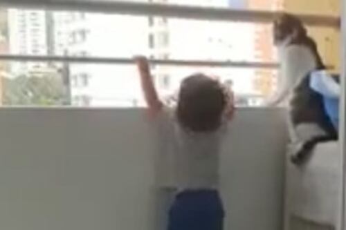 Il gatto salva il bambino sul balcone, il video virale
