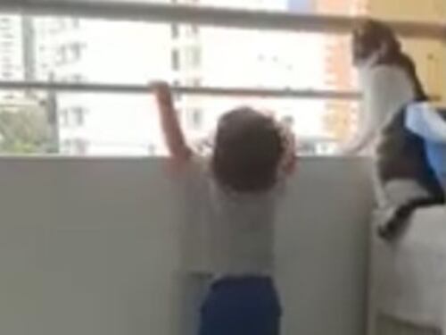 Il gatto salva il bambino sul balcone, il video virale