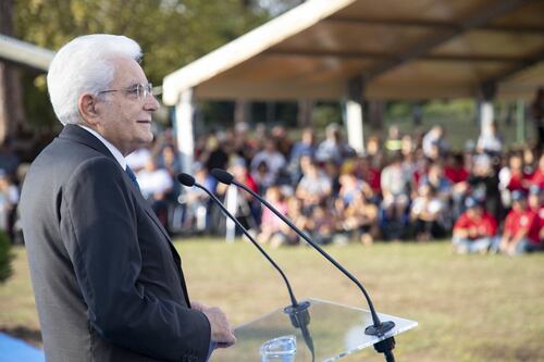 Castelporziano, tutti i lupi del Presidente: un branco entra nella Tenuta