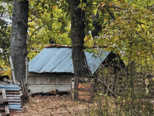 Bambini tolti alla famiglia nel bosco, gli zelanti guardiani burocrati aprano gli occhi sulla sostanza