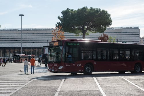 Roma, niente albero finto: perché il Comune ci ripensa