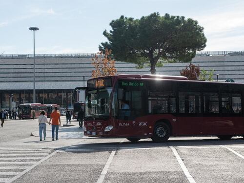 Roma, niente albero finto: perché il Comune ci ripensa