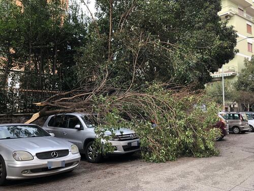 Torna il maltempo: domani allerta vento nel Lazio