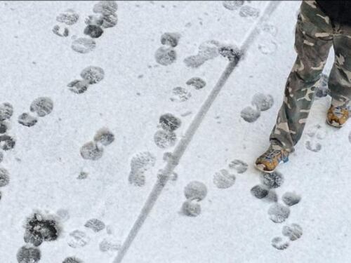 Arriva Burian: da domenica neve, pioggia e temperature sotto zero
