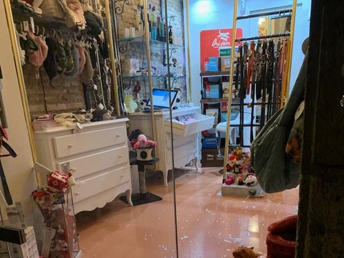 Sampietrino contro la vetrina, furto alla boutique degli animali