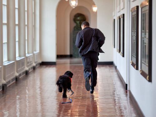 Il toccante messaggio di Barack Obama per la morte del suo cane: addio vero amico e compagno fedele
