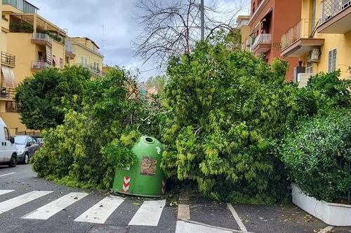 Roma, tragedia sfiorata a Monteverde: un ramo si spacca e crolla sulla strada
