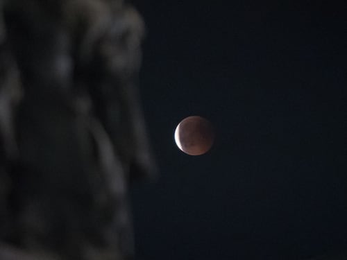 Ecco la prima eclissi lunare del 2020: quando e dove guardarla