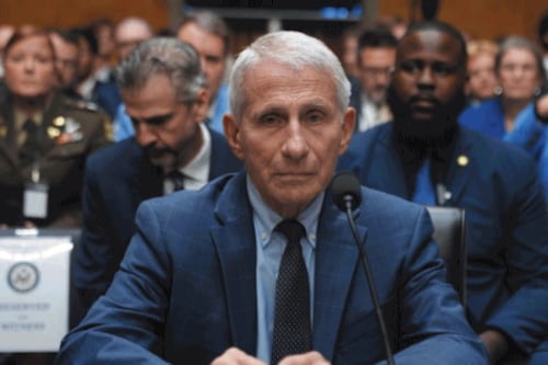 L’ex consigliere di Fauci si dichiara colpevole