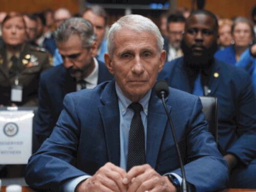 L’ex consigliere di Fauci si dichiara colpevole