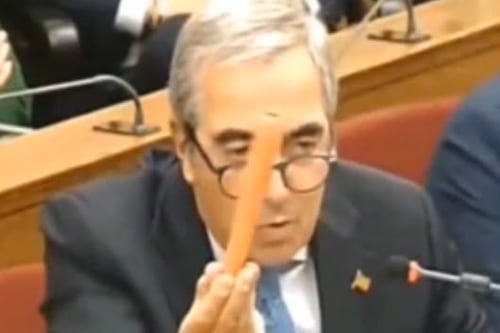 Report, l’intuizione di Gasparri che già nel 2023 in Vigilanza Rai parlò di "TeleLavitola"