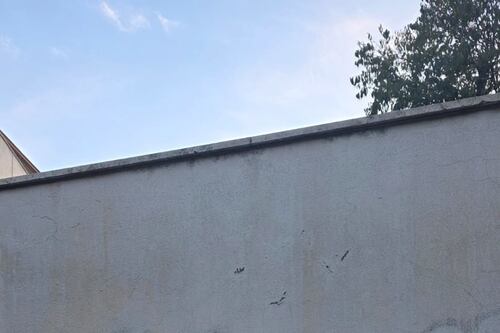 Roma, vandalizzata la sinagoga di Monteverde. Esplode l’antisemitismo: lo sfregio della vergogna