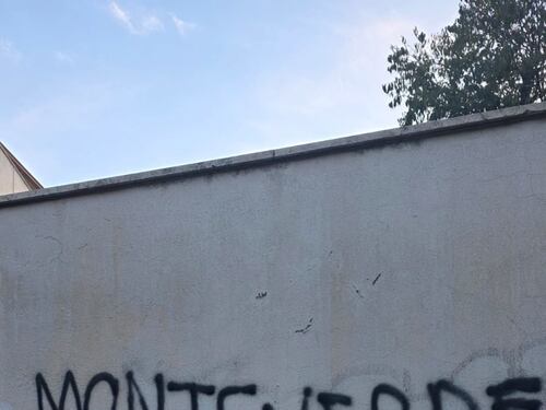 Roma, vandalizzata la sinagoga di Monteverde. Esplode l’antisemitismo: lo sfregio della vergogna