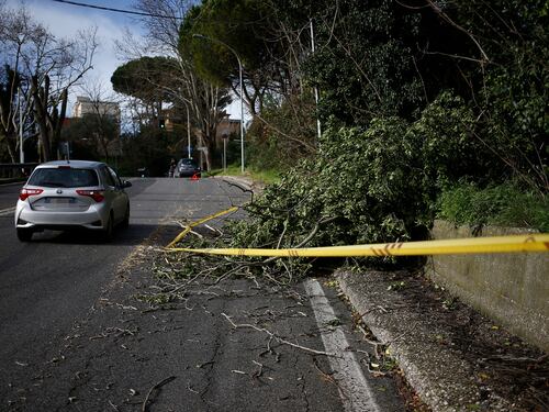Cade albero a Ostiense e danneggia auto