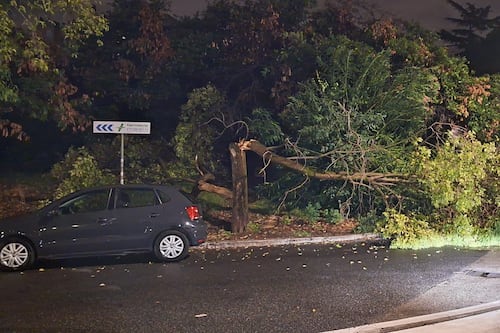 Maltempo a Roma, 120 interventi nella notte tra allagamenti e alberi caduti. Caos per il nubifragio