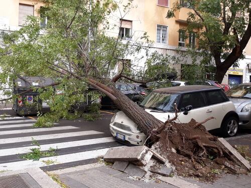 Piovono alberi a Roma, Capitale in tilt