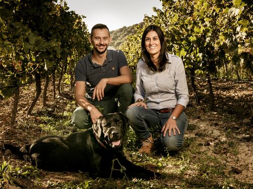 Così il Vermentino diventa passione di famiglia