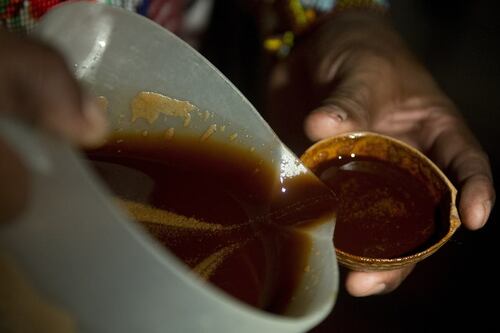 Arriva la droga degli sciamani: a Roma c'è il raduno dell'Ayahuasca