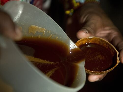 Arriva la droga degli sciamani: a Roma c'è il raduno dell'Ayahuasca