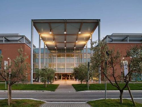 Diabete, dal Campus Bio-Medico di Roma la nuova pillola sugar killer