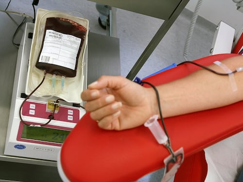 Sos Chikungunya a Anzio. Vietate le donazioni di sangue
