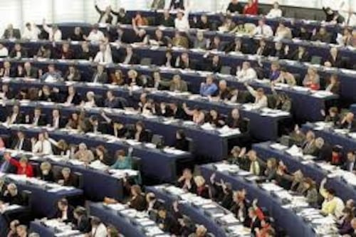 "Follia" Pd a Strasburgo. Fanno i vegani e bocciano gli hamburger senza carne