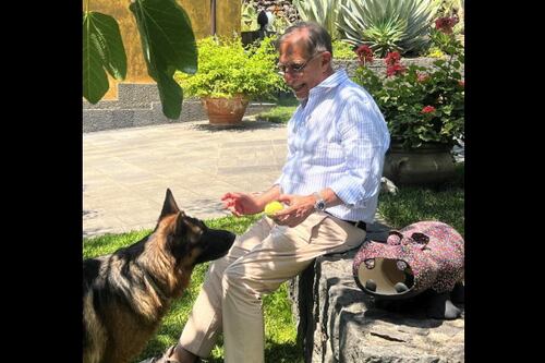 Giornata mondiale del cane: in Italia sono 8 milioni. I messaggi da La Russa a Brambilla e Salvini