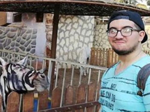 Dipingono l'asino e lo fanno diventare una zebra