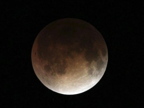 Tutti col naso all'insù, c'è l'eclissi di Luna