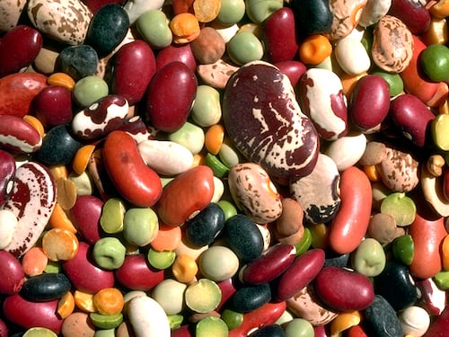 Mangiare legumi, cereali e formaggi allunga la vita
